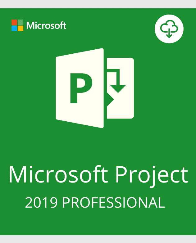 Project 2019 Professional