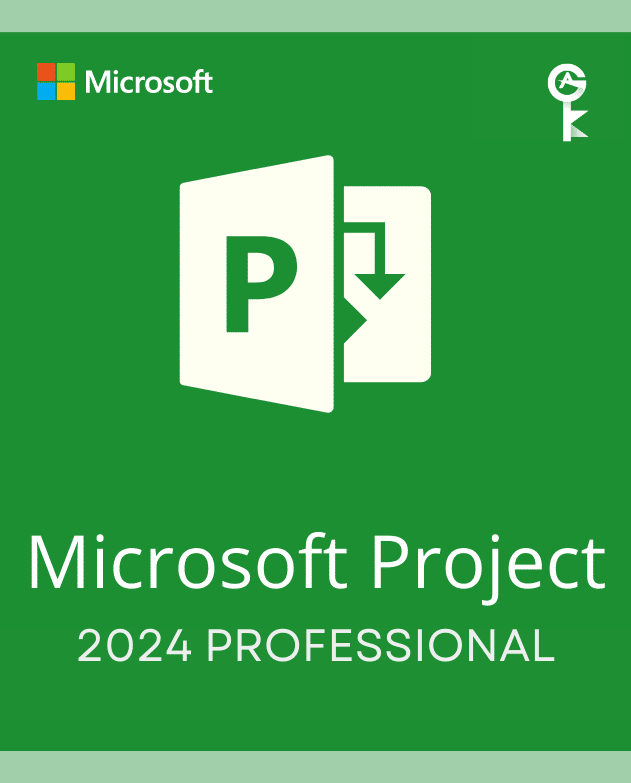 Project Professional 2024