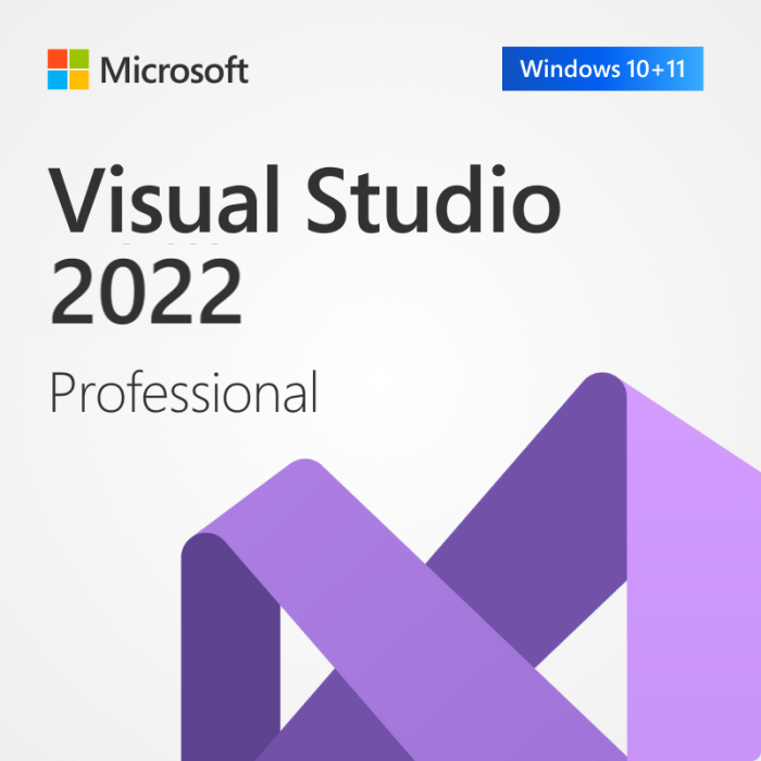 Visual Studio 2022 Professional